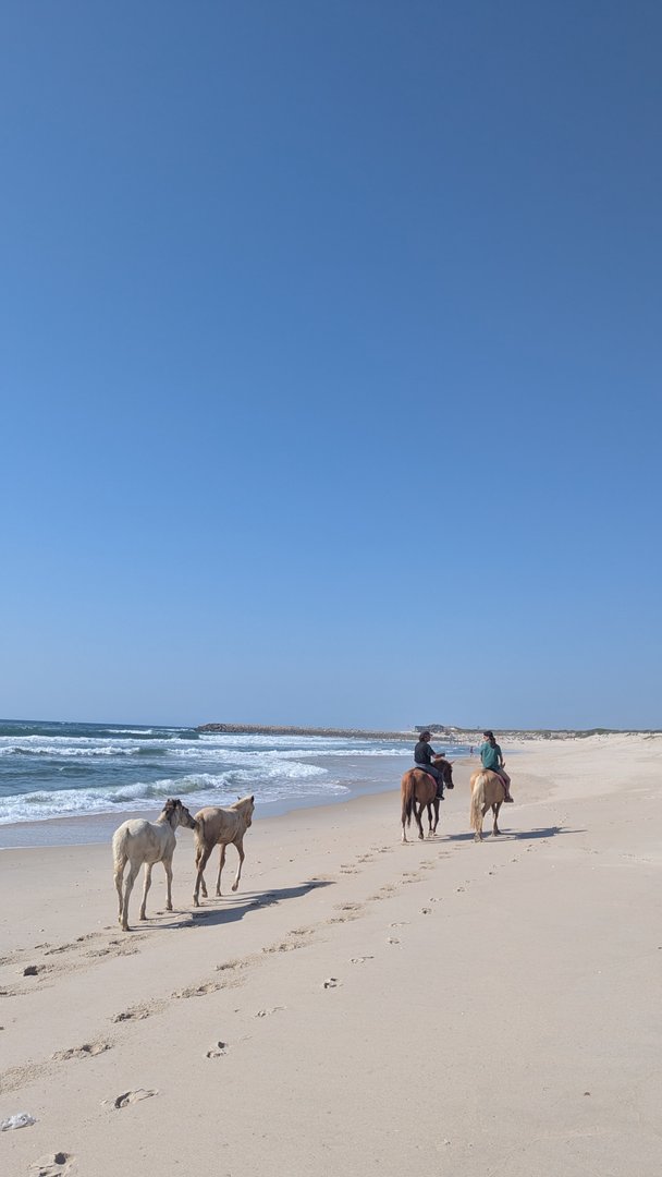 Riders remontant la plage de Vagueira après une session