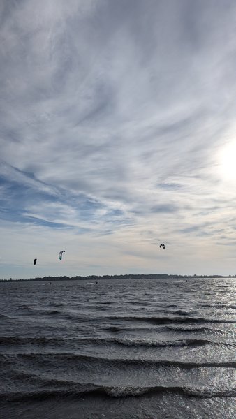 Several kitesurfers enjoy the conditions on the Ria de Aveiro. — Murtosa (Ria de Aveiro), Murtosa, Portugal