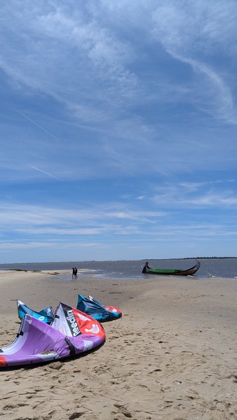 Kites resting on the sandy beach at Murtosa with the Ria de Aveiro in the background. — Murtosa (Ria de Aveiro), Murtosa, Portugal