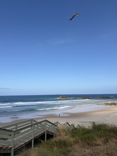 Burrinho (Sines), Portugal — spot de surf (foto 4 de 6)