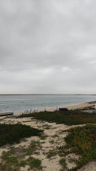 An overcast view of the lagoon and shoreline at Ilha de Faro.