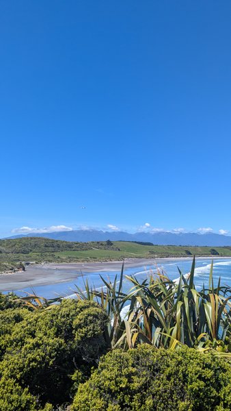 A panoramic view of Tauranga Bay featuring the beach, ocean, lush coastal vegetation, and distant mountains under a clear blue sky. — Baía de Tauranga (Westport), Tauranga Bay, West Coast, New Zealand