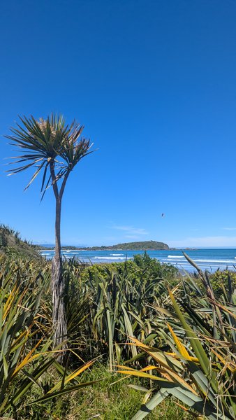 A view of Tauranga Bay beach and ocean, framed by native coastal vegetation under a clear blue sky. — Baía de Tauranga (Westport), Tauranga Bay, West Coast, New Zealand