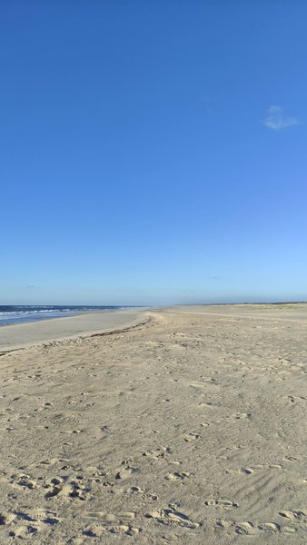 A wide, sandy beach with ocean waves under a clear blue sky. — São Jacinto (Aveiro), Aveiro, Portugal