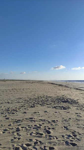 Wide view of the sandy beach at Sao Jacinto under a clear sky. — São Jacinto (Aveiro), Aveiro, Portugal