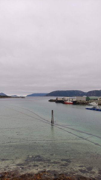 A view of the clear water and coastal landscape at Skipholmen. — Hillesøy (Skipholmen), Tromsø, Norway