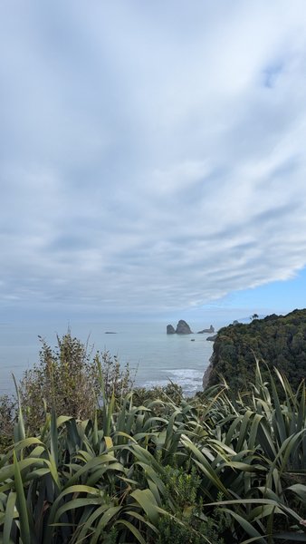 A view over coastal flax towards the Tasman Sea and rocky outcrops near Nine Mile. — Nine Mile (Runanga), Runanga, West Coast, New Zealand