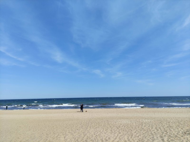 A wide sandy beach meets the blue waters of the Baltic Sea under a clear sky. — Gdańsk, Pomeranian Voivodeship, Poland