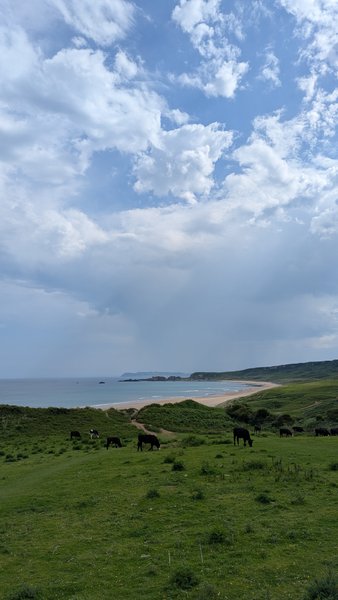 A scenic landscape view of White Park Bay featuring the beach and surrounding green hills.