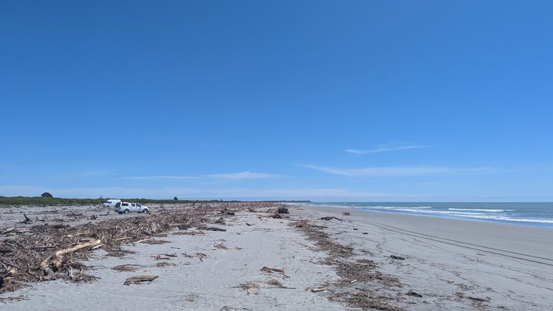 A wide view of a sandy beach covered with driftwood, with the ocean visible on the right and two vehicles parked in the distance. — Shingles (Westport), Westport, West Coast, New Zealand
