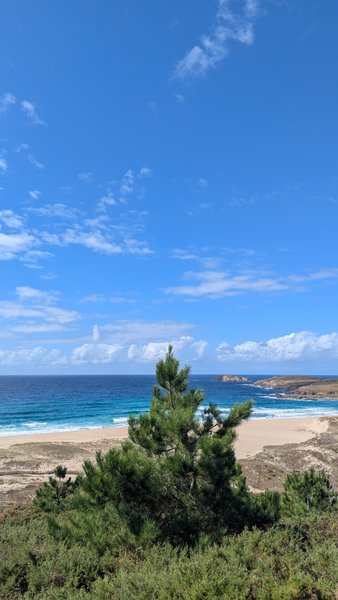A scenic view of a sandy beach and ocean from behind coastal vegetation under a blue sky. — Playa de Doninos, Fontá, Galicia, Spain