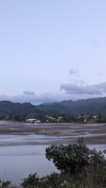A view of the Tairua estuary and surrounding mountains under a grey sky. — Playa de Tairua, Tairua, Waikato, New Zealand