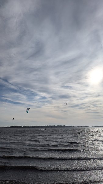 Murtosa (Ria de Aveiro), Murtosa, Portugal — Spot für Kitesurfen, Windsurfen, Wingfoilen (Foto 1 von 7)