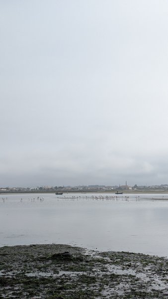 A wide view across the calm waters of the Ria de Aveiro lagoon under an overcast sky. — Ria de Aveiro (Costa Nova), Ílhavo, Portugal