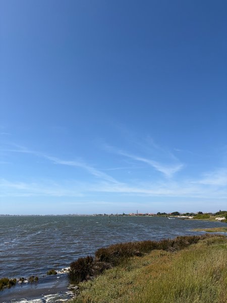 A view across the choppy water at the Ervas spot in Ria de Aveiro. — Ervas (Ria de Aveiro), Ílhavo, Portugal