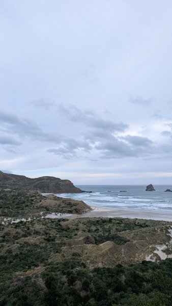 An overcast view of Sandfly Bay showing the beach, dunes, and ocean with waves. — Baía Sandfly (Dunedin), Dunedin, Otago, New Zealand