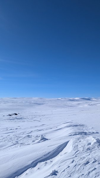A vast, snow-covered plateau under a clear blue sky at Dyranut. — Dyranut (Eidfjord), Vestland, Norway