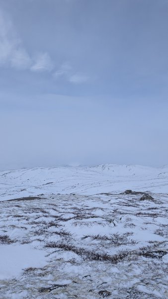 A snow-covered, barren landscape under an overcast sky. — Lillevann (Buskerud), Haugastøl, Norway
