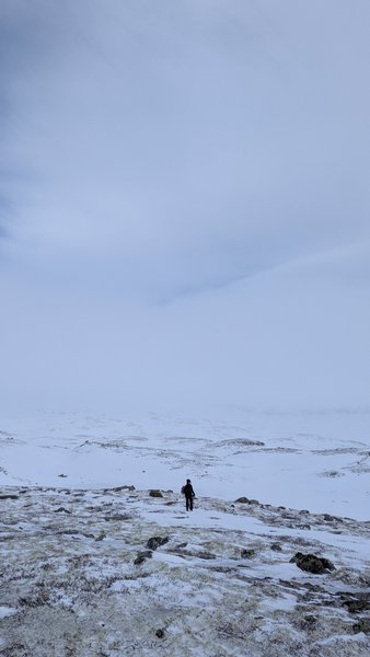 A lone figure walks across a vast, snow-covered winter landscape under an overcast sky. — Lillevann (Buskerud), Haugastøl, Norway