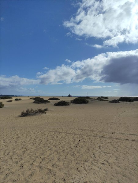 View across the expansive sandy beach and dunes toward the distant ocean. — Playa Flag, La Oliva, Canary Islands, Spain