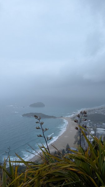 Praia de Mount Maunguni, Tauranga, Bay of Plenty, New Zealand — spot de kitesurf, windsurf, wing foil, surf (foto 2 de 3)