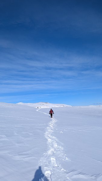 A person walks along a path of footprints in a vast snow-covered landscape under a clear blue sky. — Slaktetjørna, Vestland, Norway