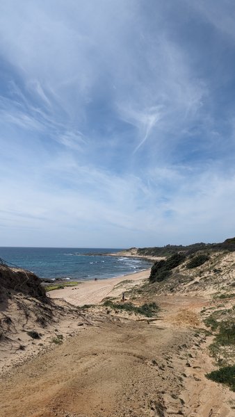 A wide view of the sandy beach and ocean from the surrounding dunes. — Benavides, Tarifa, Andalusia, Spain