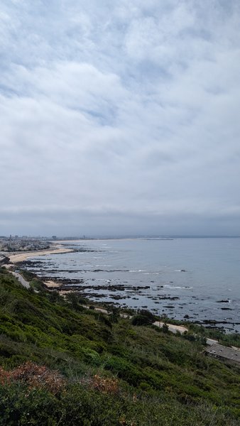 A panoramic view of the Cabo Mondego coastline and the distant beach at Figueira da Foz. — Cabo Mondego (Figueira da Foz), Figueira da Foz, Portugal