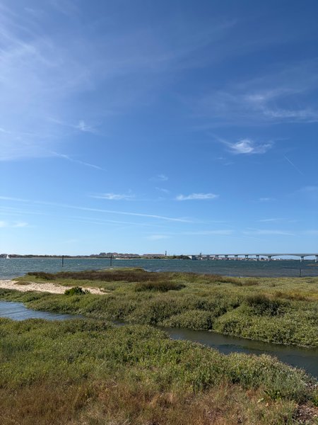 A view across the marshes of the Ria de Aveiro towards the water and the bridge. — Estacas (Ria de Aveiro), Ílhavo, Portugal