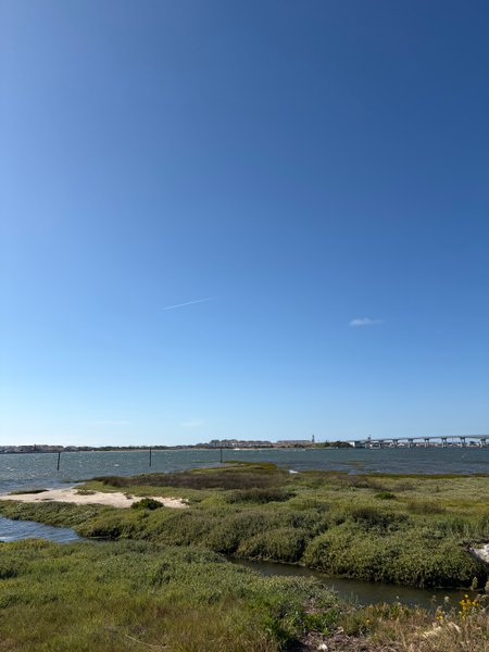 A view of the Ria de Aveiro lagoon at Estacas with a bridge in the distance. — Estacas (Ria de Aveiro), Ílhavo, Portugal
