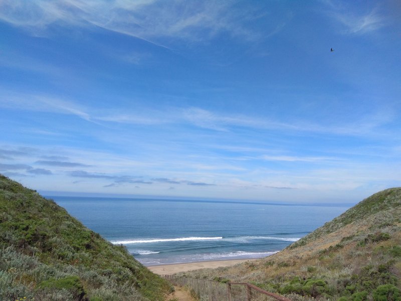 A wide view of the beach and ocean framed by grassy dunes at Sunset State Beach. — Sunset State Beach (Watsonville), Port Watsonvile, California, United States