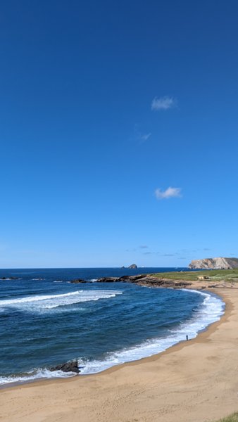 A wide view of the sandy Playa Tenrero with waves breaking along the shore under a clear blue sky. — Playa Tenrero (Gozón), Gozón, Asturias, Spain