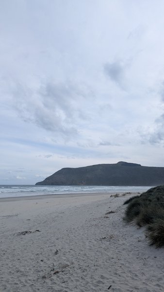 A view across Allans Beach towards a large headland under an overcast sky. — Allans Beach (Otago), Otago, New Zealand