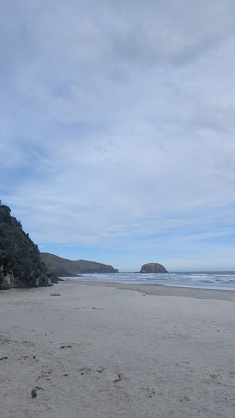 A wide view of Allans Beach showing the sand, surf, and rocky coastline. — Allans Beach (Otago), Otago, New Zealand