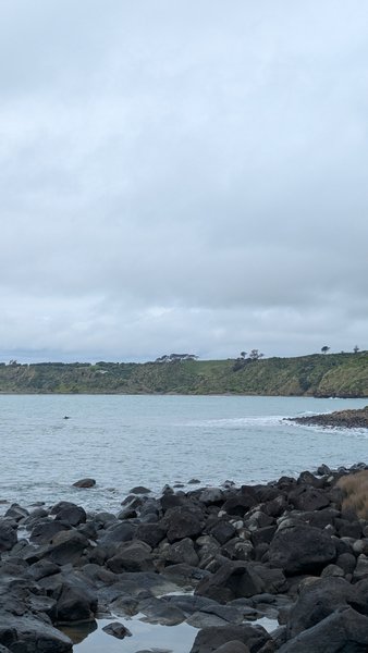 Manu Bay (Raglan), Raglan, Waikato, New Zealand — spot de wing foil, surf (photo 3 sur 3)