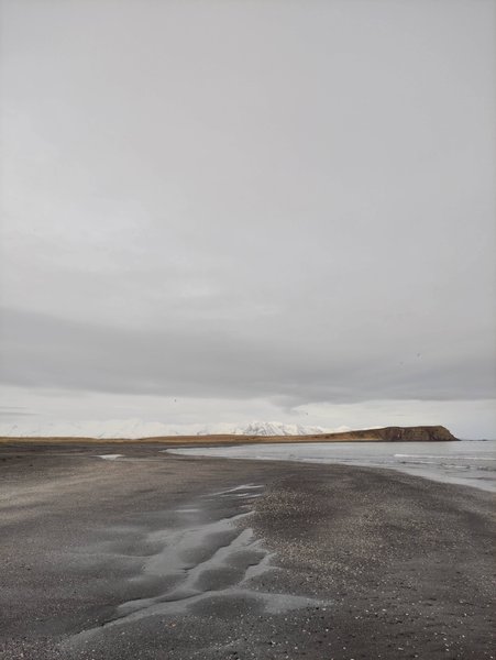 Wide view of the dark sand beach and calm water at Eyvik with snow-capped mountains in the background. — Eyvik (Húsavík), Húsavík, Iceland