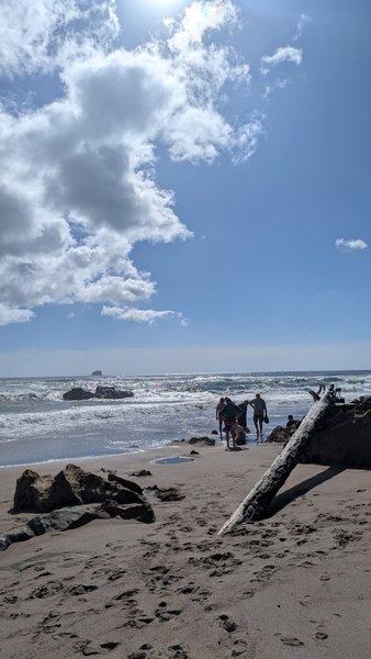 Praia de Água Quente, Hot Water Beach, Waikato, New Zealand — spot de surf (foto 3 de 3)