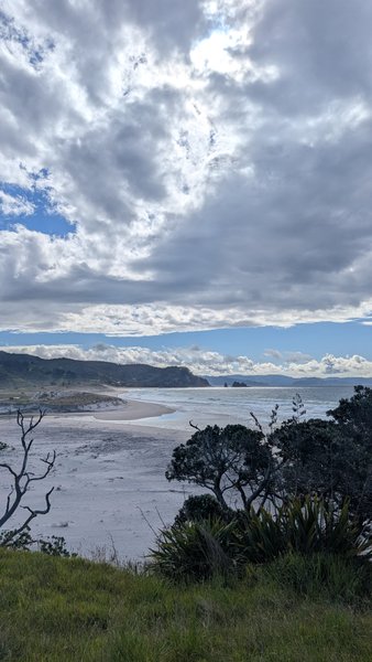An expansive sandy beach and ocean are visible from a grassy hillside under a cloudy sky. — Otama, Ōtama, Waikato, New Zealand