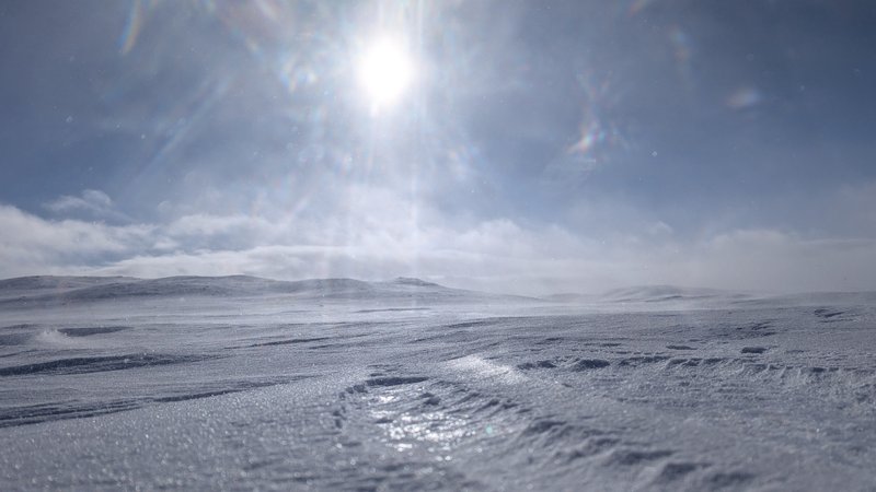 A snowy expanse under a bright sun at Oerteren.