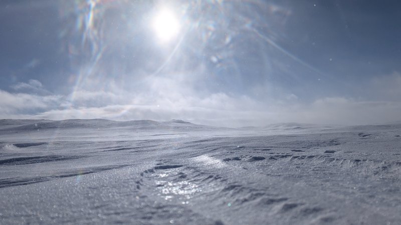 A bright sun shines over the snow-covered plateau at Oerteren.