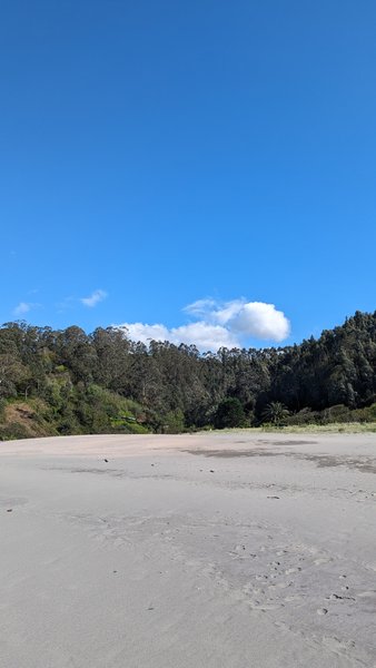 A view of the sandy beach and forested background at Playa de Otur. — Playa de Otur (Otur), Valdés, Asturias, Spain