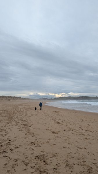 Two people and a dog walk along a wide sandy beach next to the ocean on a cloudy day. — Playa de Robayera (Mogro Bay), Mogro, Cantabria, Spain