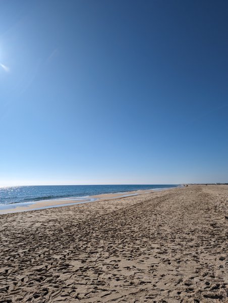 A wide view of the sandy beach and ocean at Ilha de Tavira under a clear sky.